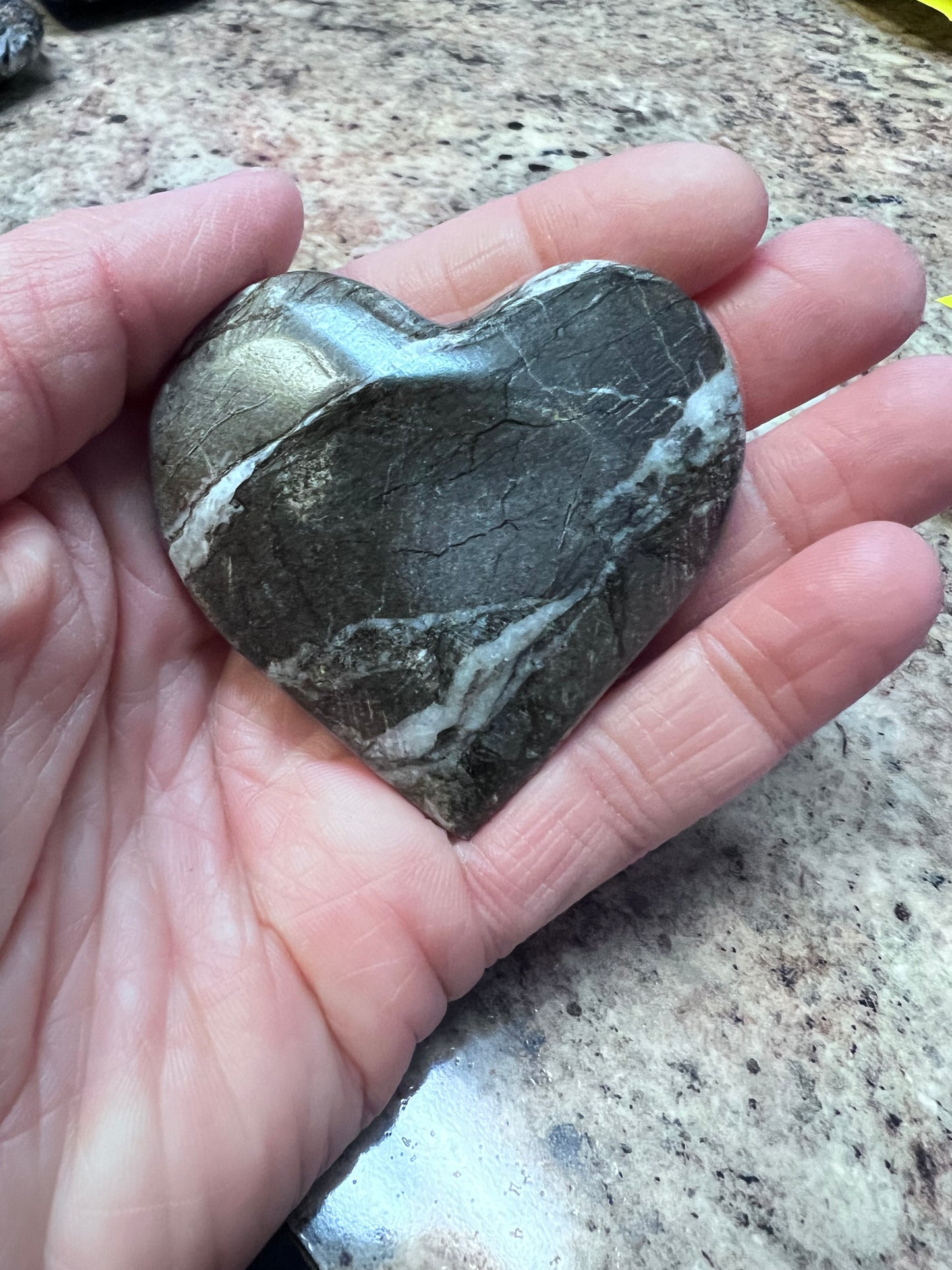 Small Orthocera Fossil Heart