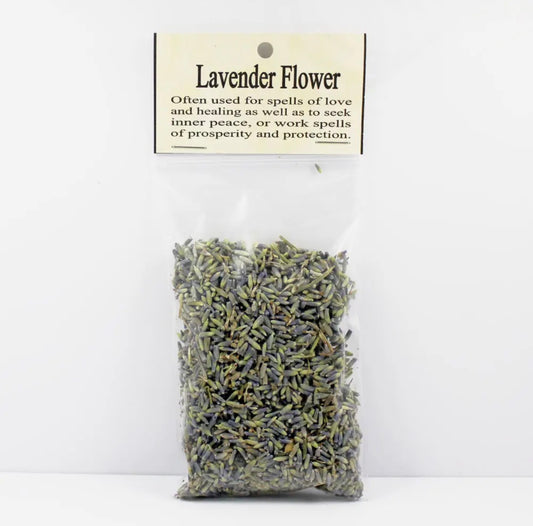 Lavender Flower Herb
