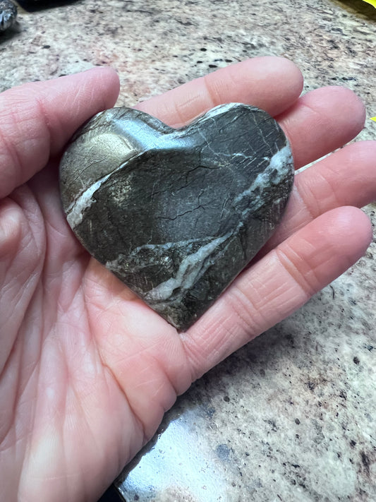 Small Orthocera Fossil Heart